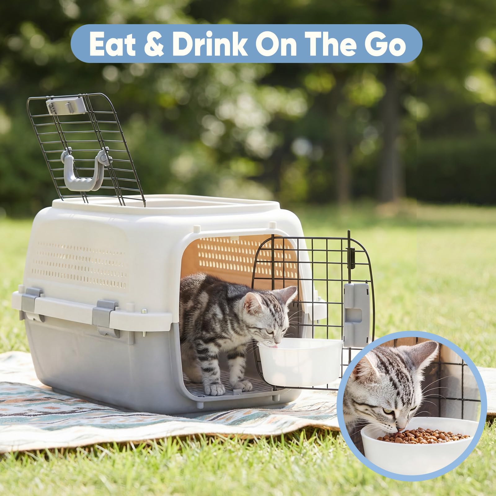 Airline Approved Pet Carrier Crate for Small Dogs Cats Travel