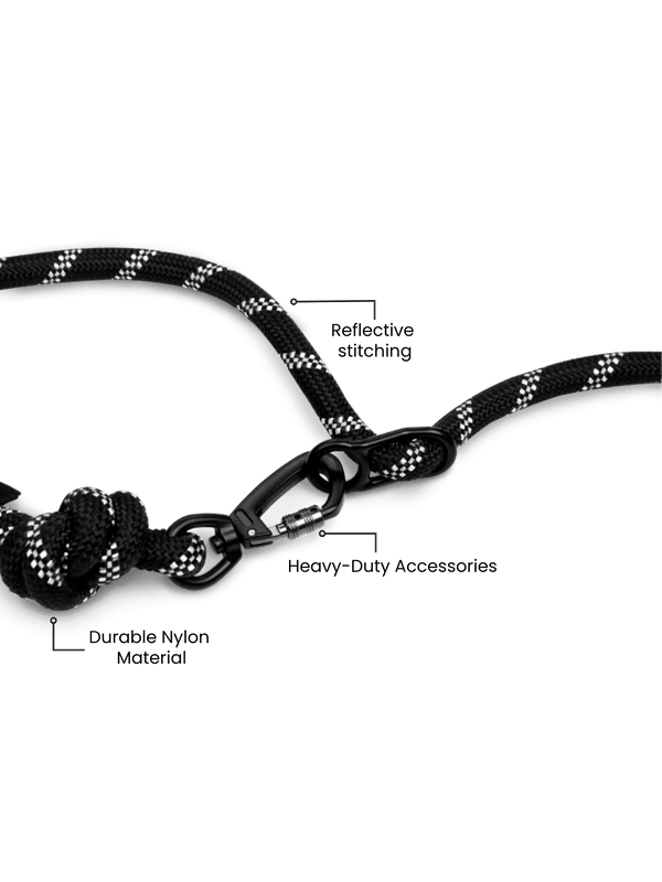 Runners Hands Free Dog Leash