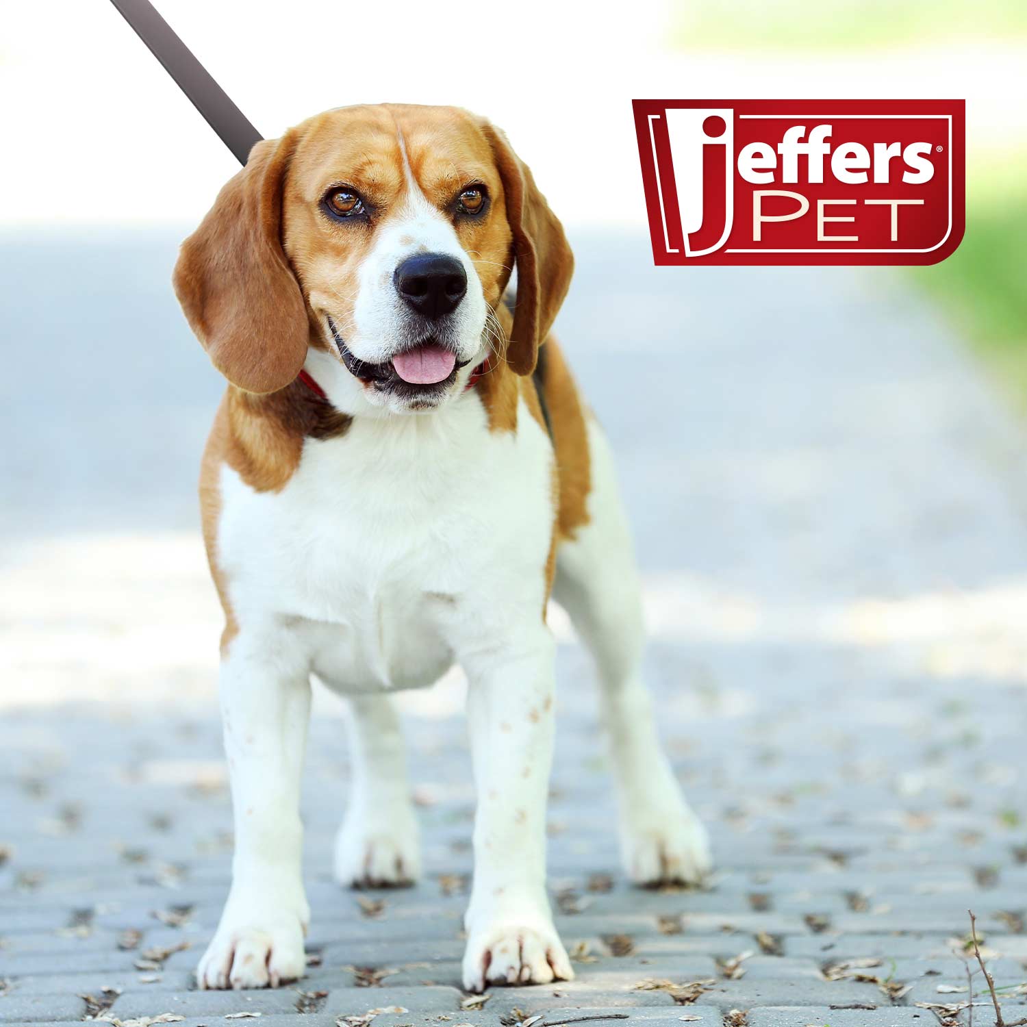Jeffers Flat Leather Dog Leash with Hand Strap