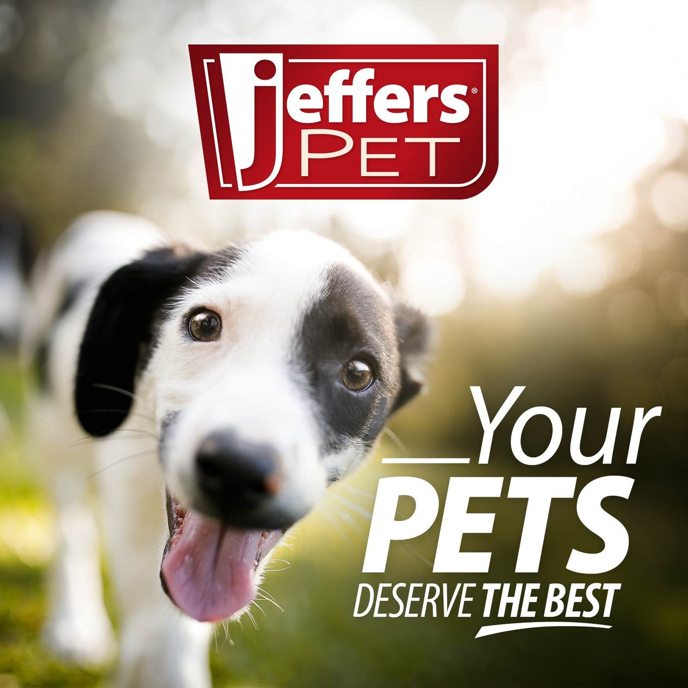 Jeffers Flat Leather Dog Leash with Hand Strap