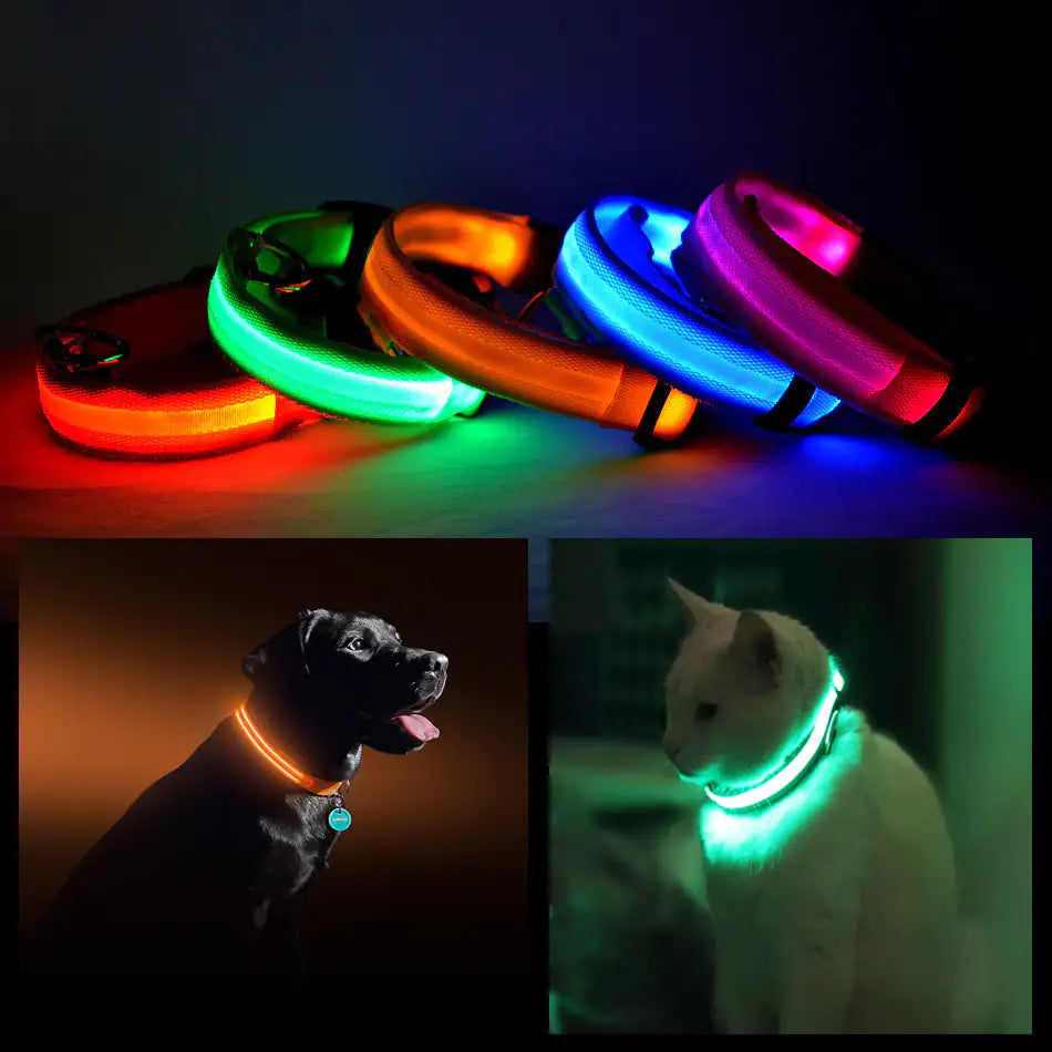 LED Pet Safety Halo Collar for Night Visibility