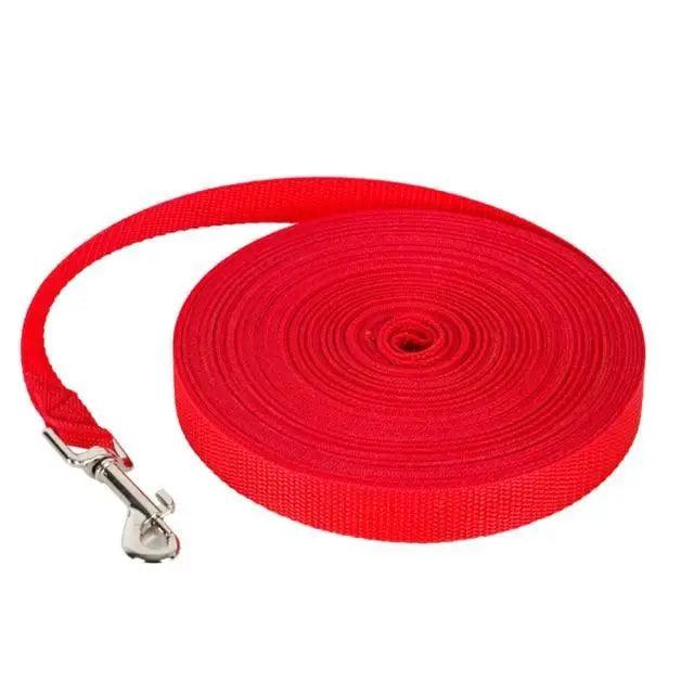 Outdoor Training Long Rope Dog Leash for All Sizes