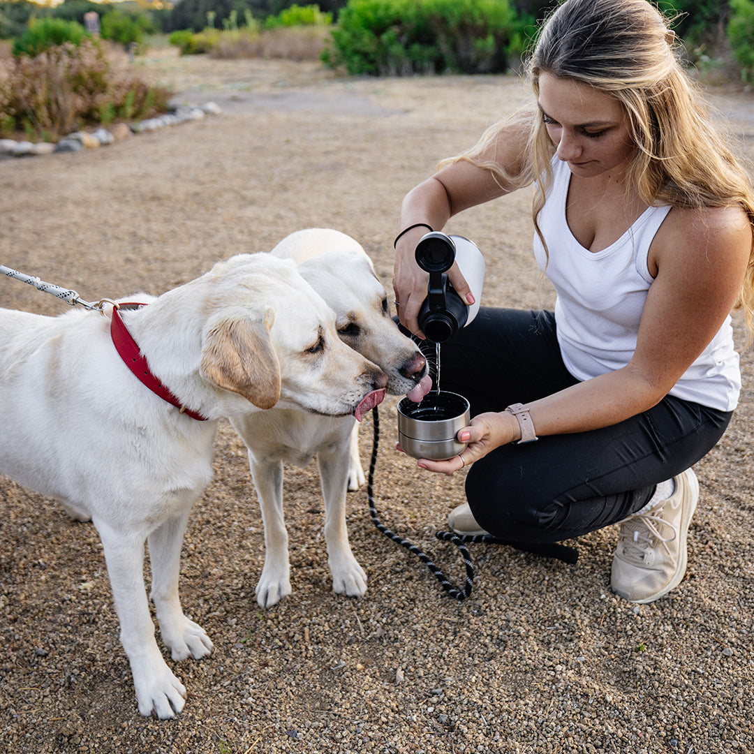 HydroPet® 64 oz Portable Dog Water Bottle – Stainless Steel Travel Flask with 2 Detachable Bowls, Carry Bag & Strap