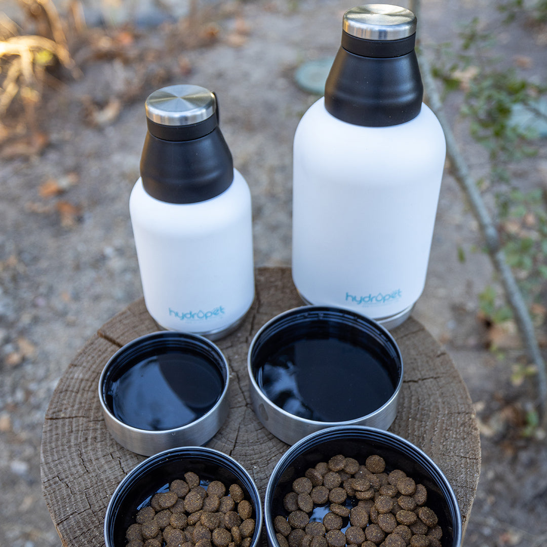 HydroPet® 64 oz Portable Dog Water Bottle – Stainless Steel Travel Flask with 2 Detachable Bowls, Carry Bag & Strap