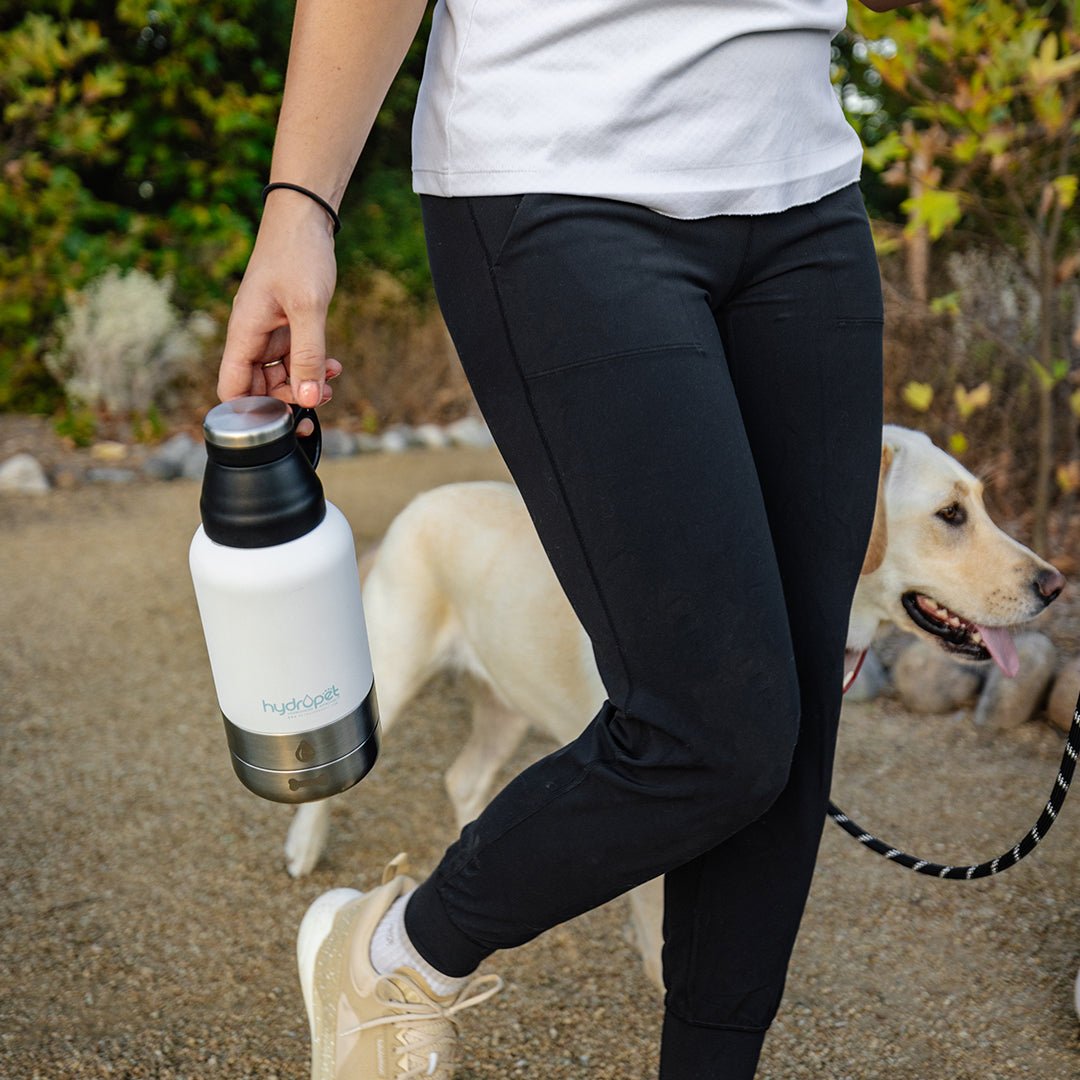 HydroPet® 64 oz Portable Dog Water Bottle – Stainless Steel Travel Flask with 2 Detachable Bowls, Carry Bag & Strap