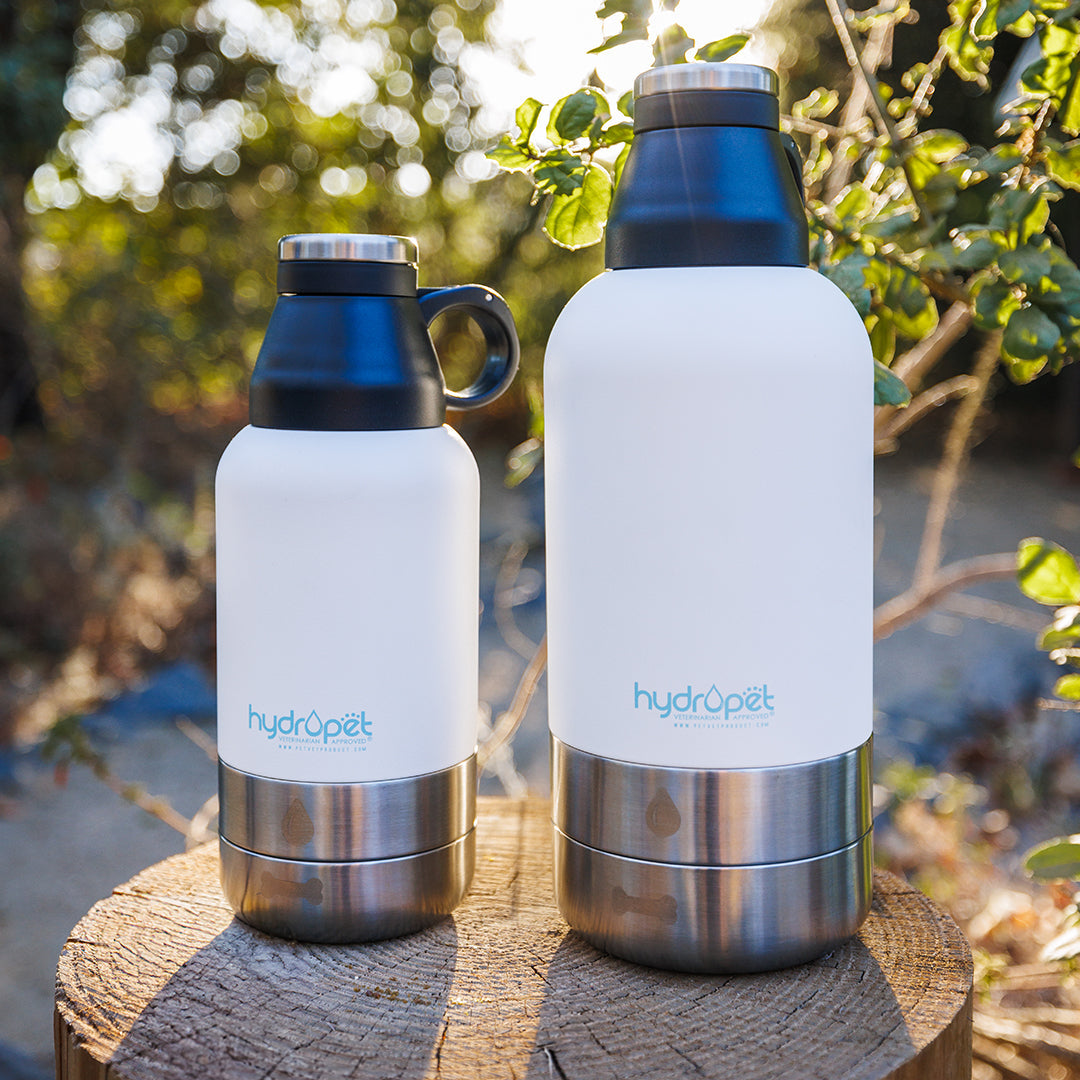 HydroPet® 64 oz Portable Dog Water Bottle – Stainless Steel Travel Flask with 2 Detachable Bowls, Carry Bag & Strap