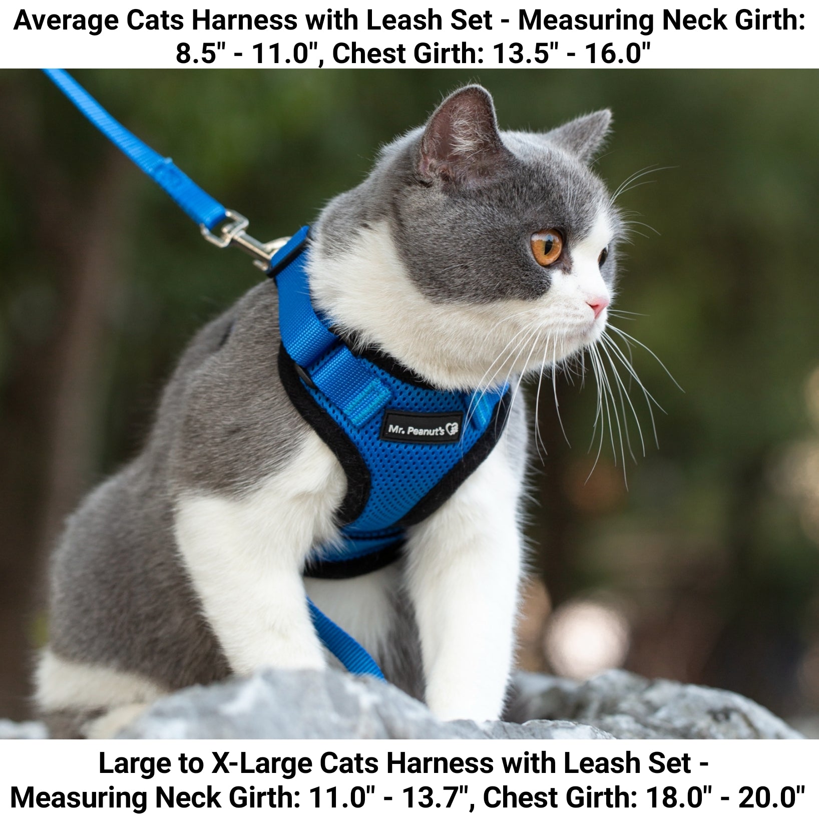 Mr. Peanut's PurrTrek Reflective Cat Harness with Matching Leash