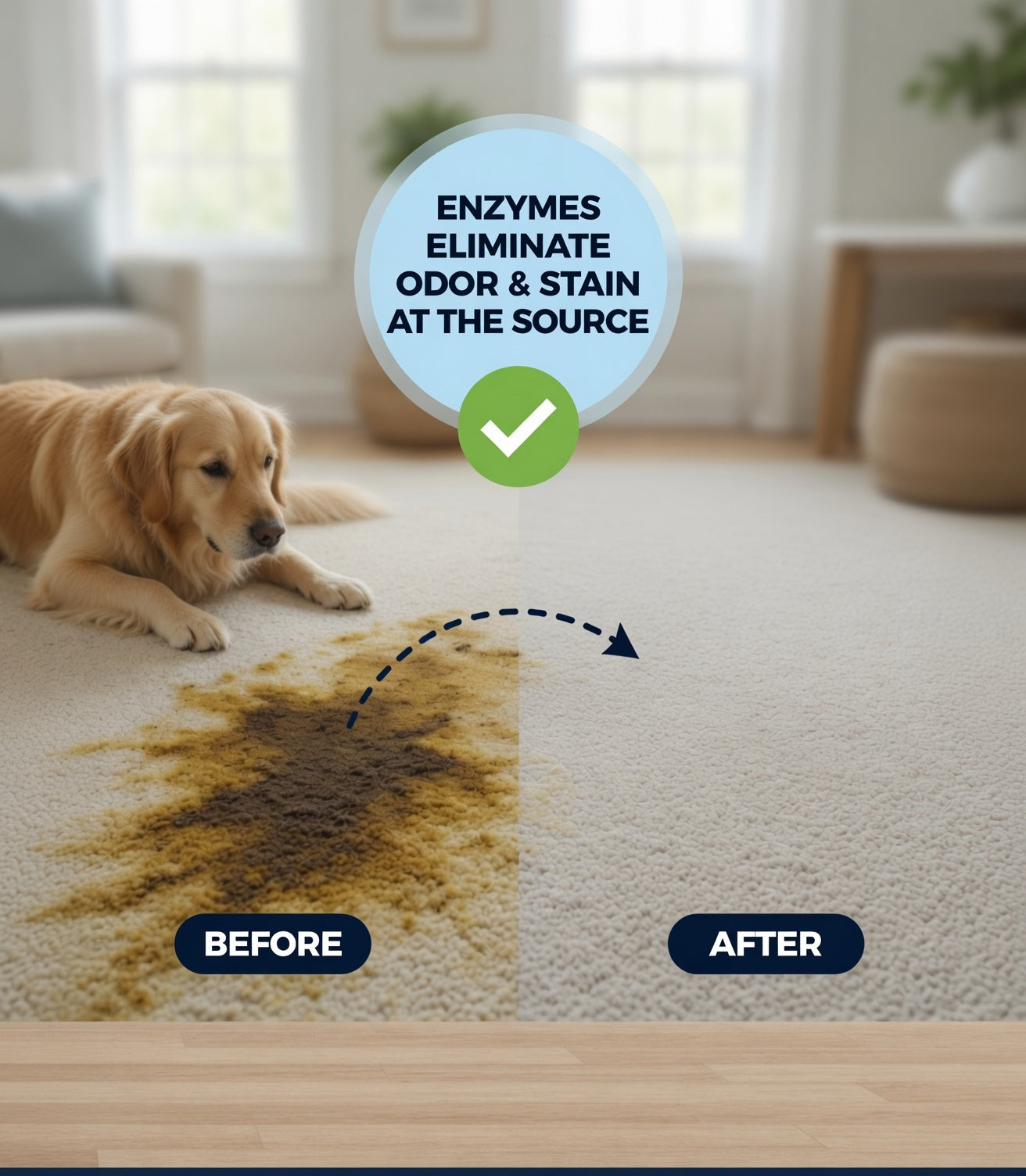 Zaps It Concentrate Natural Pet Professional Bio-enzymatic Odor Eliminator & Stain Remover (1 Gallon)